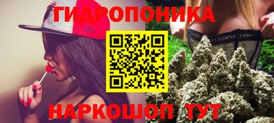 прущие грибы Нягань