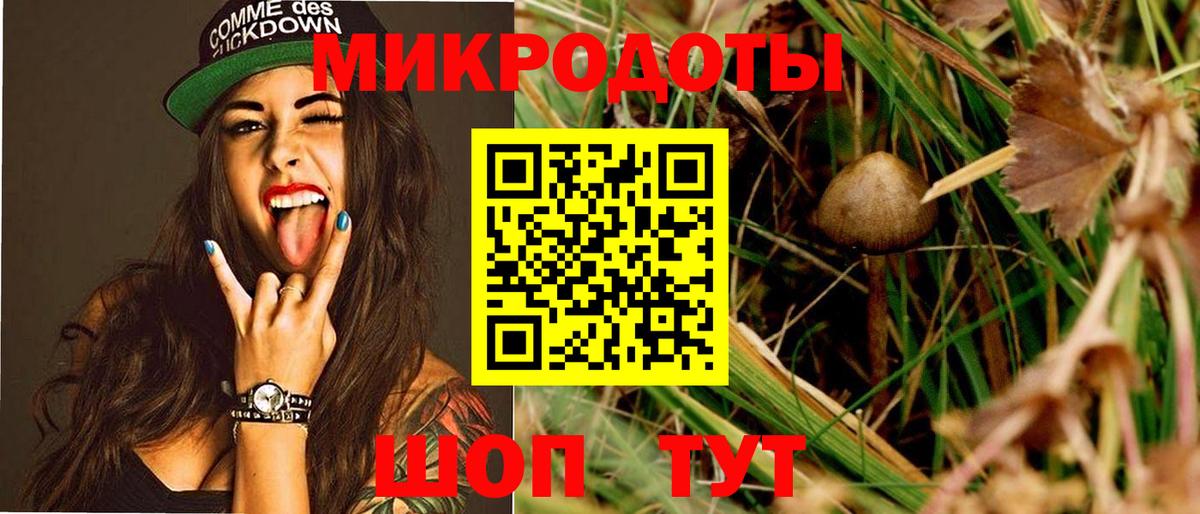 Галлюциногенные грибы прущие грибы Ростов Великий