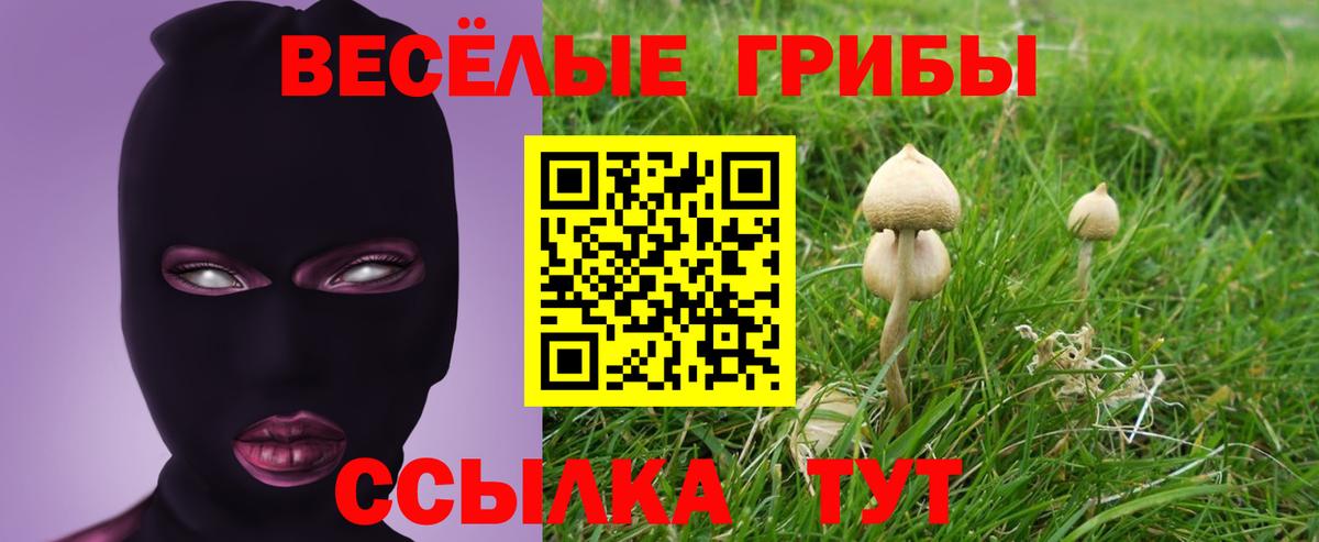 Ростов Великий  Галлюциногенные грибы Psilocybine cubensis  Вход с VPN  Псилоцибиновые грибы мухоморы 